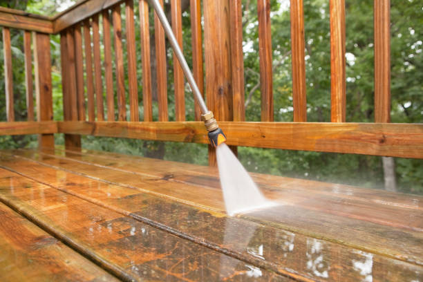 Best Fence Cleaning  in Cedar Grove, WI